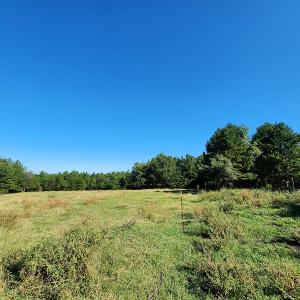 Photo #31 of SOLD property in 4465 Harmony Road, Long Island, VA 135.5 acres