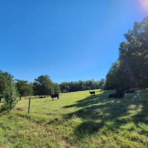Photo #35 of SOLD property in 4465 Harmony Road, Long Island, VA 135.5 acres