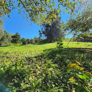 Photo #41 of SOLD property in 4465 Harmony Road, Long Island, VA 135.5 acres