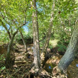 Photo #42 of SOLD property in 4465 Harmony Road, Long Island, VA 135.5 acres