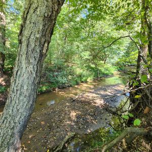 Photo #43 of SOLD property in 4465 Harmony Road, Long Island, VA 135.5 acres