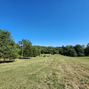 Photo #48 of SOLD property in 4465 Harmony Road, Long Island, VA 135.5 acres