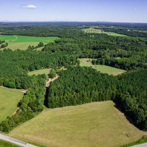 Photo #3 of SOLD property in 4465 Harmony Road, Long Island, VA 135.5 acres