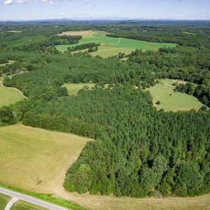 Photo #4 of SOLD property in 4465 Harmony Road, Long Island, VA 135.5 acres