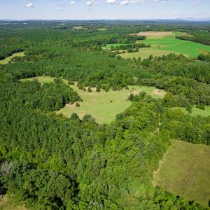 Photo #5 of SOLD property in 4465 Harmony Road, Long Island, VA 135.5 acres