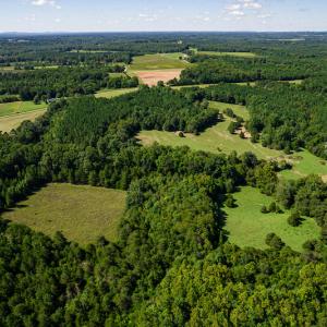 Photo #7 of SOLD property in 4465 Harmony Road, Long Island, VA 135.5 acres
