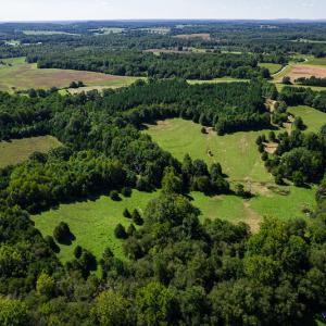 Photo #8 of SOLD property in 4465 Harmony Road, Long Island, VA 135.5 acres