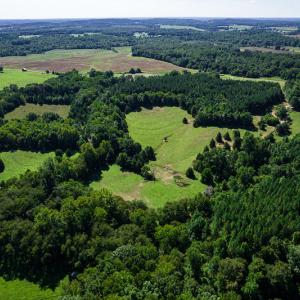 Photo #9 of SOLD property in 4465 Harmony Road, Long Island, VA 135.5 acres