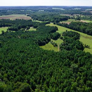 Photo #10 of SOLD property in 4465 Harmony Road, Long Island, VA 135.5 acres
