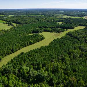 Photo #11 of SOLD property in 4465 Harmony Road, Long Island, VA 135.5 acres
