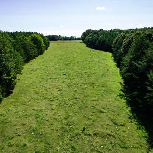 Photo #16 of SOLD property in 4465 Harmony Road, Long Island, VA 135.5 acres