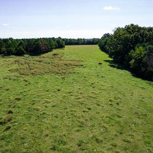 Photo #17 of SOLD property in 4465 Harmony Road, Long Island, VA 135.5 acres