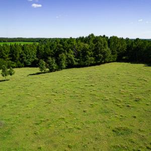 Photo #18 of SOLD property in 4465 Harmony Road, Long Island, VA 135.5 acres