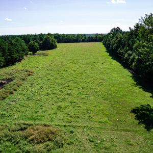 Photo #19 of SOLD property in 4465 Harmony Road, Long Island, VA 135.5 acres
