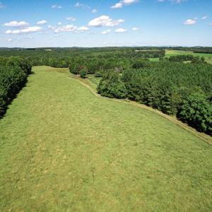 Photo #21 of SOLD property in 4465 Harmony Road, Long Island, VA 135.5 acres