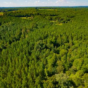 Photo #15 of SOLD property in 4465 Harmony Road, Long Island, VA 135.5 acres