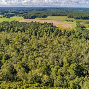 Photo #9 of SOLD property in Off Wallace Highway, Wallace, NC 13.2 acres