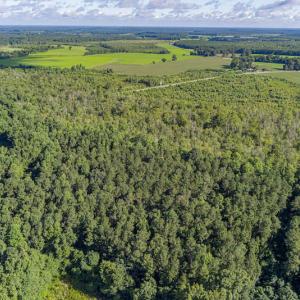 Photo #10 of SOLD property in Off Wallace Highway, Wallace, NC 13.2 acres