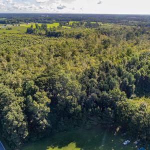 Photo #11 of SOLD property in Off Wallace Highway, Wallace, NC 13.2 acres