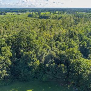 Photo #12 of SOLD property in Off Wallace Highway, Wallace, NC 13.2 acres