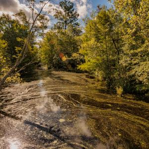 Photo #15 of SOLD property in Off Wallace Highway, Wallace, NC 13.2 acres