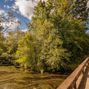 Photo #16 of SOLD property in Off Wallace Highway, Wallace, NC 13.2 acres