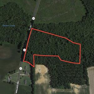 Photo #1 of SOLD property in Off Wallace Highway, Wallace, NC 13.2 acres
