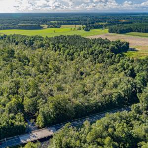 Photo #3 of SOLD property in Off Wallace Highway, Wallace, NC 13.2 acres