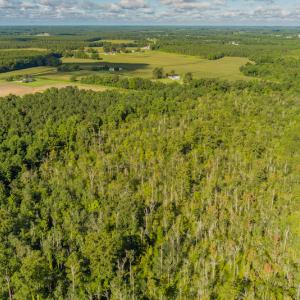 Photo #5 of SOLD property in Off Wallace Highway, Wallace, NC 13.2 acres