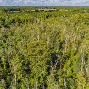 Photo #6 of SOLD property in Off Wallace Highway, Wallace, NC 13.2 acres