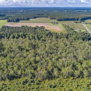 Photo #8 of SOLD property in Off Wallace Highway, Wallace, NC 13.2 acres