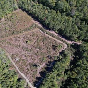 Photo #8 of SOLD property in Off Highway 305, Rich Square, NC 16.4 acres