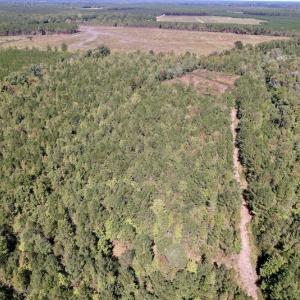 Photo #10 of SOLD property in Off Highway 305, Rich Square, NC 16.4 acres
