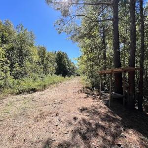 Photo #16 of SOLD property in Off Highway 305, Rich Square, NC 16.4 acres