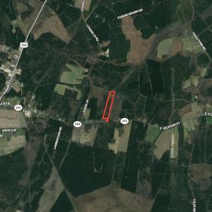 Photo #21 of SOLD property in Off Highway 305, Rich Square, NC 16.4 acres
