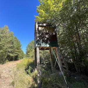 Photo #17 of SOLD property in Off Highway 305, Rich Square, NC 16.4 acres