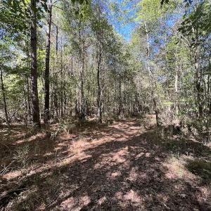 Photo #20 of SOLD property in Off Highway 305, Rich Square, NC 16.4 acres