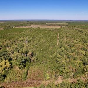 Photo #2 of SOLD property in Off Highway 305, Rich Square, NC 16.4 acres