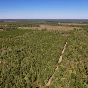 Photo #3 of SOLD property in Off Highway 305, Rich Square, NC 16.4 acres