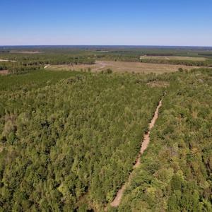 Photo #3 of SOLD property in Off Highway 305, Rich Square, NC 16.4 acres