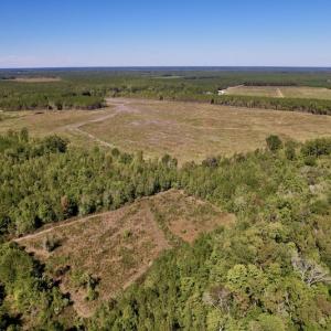 Photo #5 of SOLD property in Off Highway 305, Rich Square, NC 16.4 acres