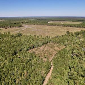 Photo #4 of SOLD property in Off Highway 305, Rich Square, NC 16.4 acres