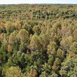 Photo #12 of SOLD property in Off Turkey Track Farms Trail, Nathalie, VA 20.1 acres