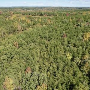 Photo #16 of SOLD property in Off Turkey Track Farms Trail, Nathalie, VA 20.1 acres