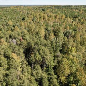 Photo #19 of SOLD property in Off Turkey Track Farms Trail, Nathalie, VA 20.1 acres