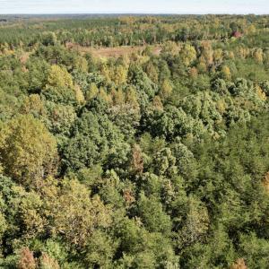 Photo #20 of SOLD property in Off Turkey Track Farms Trail, Nathalie, VA 20.1 acres