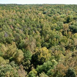Photo #21 of SOLD property in Off Turkey Track Farms Trail, Nathalie, VA 20.1 acres