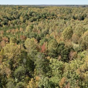 Photo #23 of SOLD property in Off Turkey Track Farms Trail, Nathalie, VA 20.1 acres