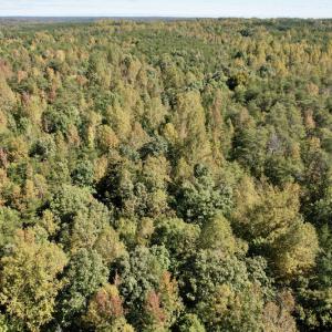 Photo #25 of SOLD property in Off Turkey Track Farms Trail, Nathalie, VA 20.1 acres