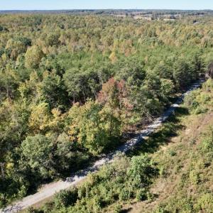 Photo #3 of SOLD property in Off Turkey Track Farms Trail, Nathalie, VA 20.1 acres